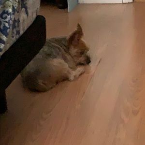 Meet your Posher, Leslie